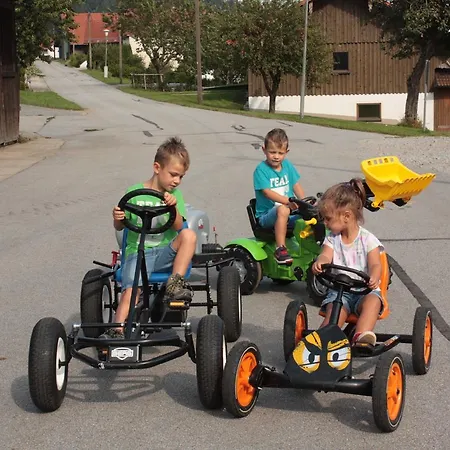 Appartamento Naderhirn - Bauernhof Wegscheid